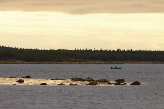 The White Sea nature, Russia photo 13