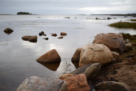 The White Sea nature, Russia photo 14