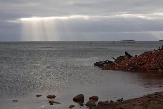 The White Sea nature, Russia photo 15