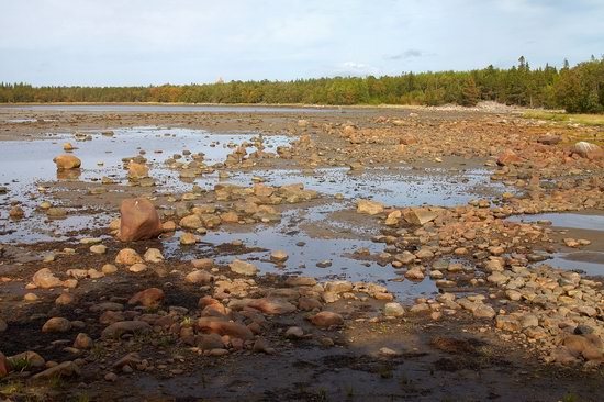 The White Sea nature, Russia photo 18