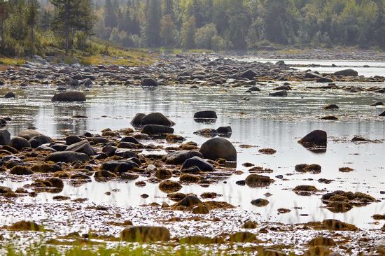 The White Sea nature, Russia photo 19