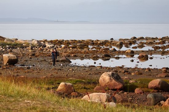 The White Sea nature, Russia photo 20