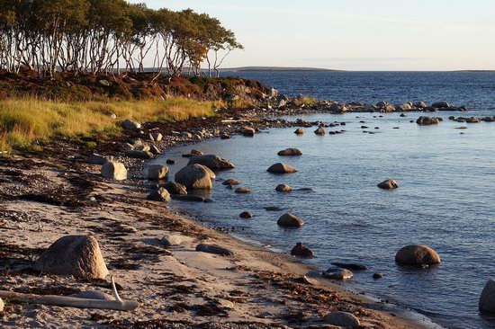 The White Sea nature, Russia photo 21