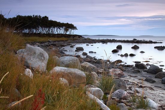 The White Sea nature, Russia photo 22