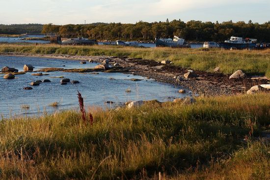 The White Sea nature, Russia photo 24