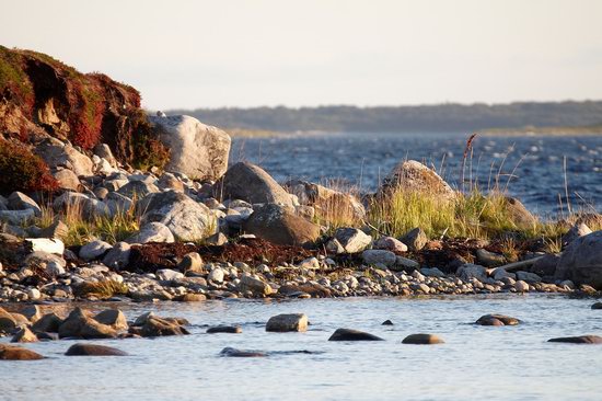 The White Sea nature, Russia photo 25