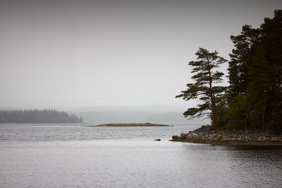 The White Sea nature, Russia photo 8