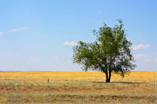 Astrakhan region, Russia nature view 1