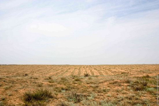 Astrakhan region, Russia nature view 2