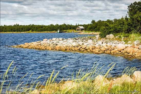 The Solovetsky Islands, Arkhangelsk region, Russia photo 13