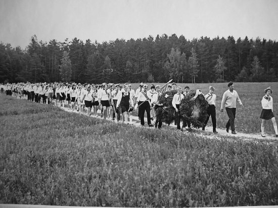 The pioneer camps, the USSR, 1960-1970, photo 8