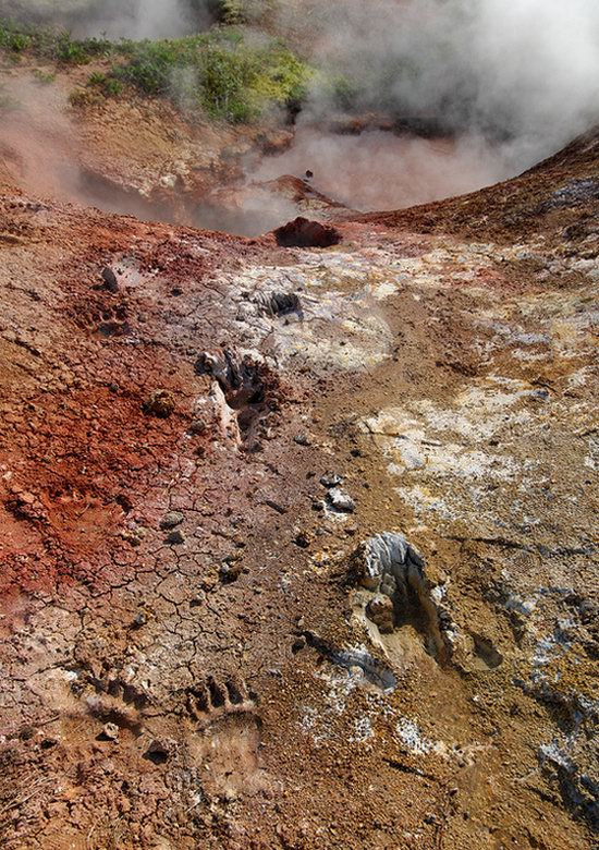 The Valley of Geysers colors, Kamchatka, Russia photo 10