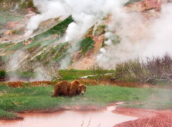 The Valley of Geysers colors, Kamchatka, Russia photo 12