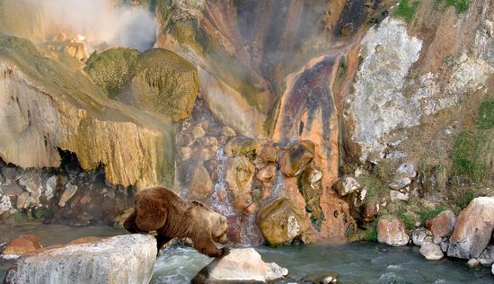 The Valley of Geysers colors, Kamchatka, Russia photo 13