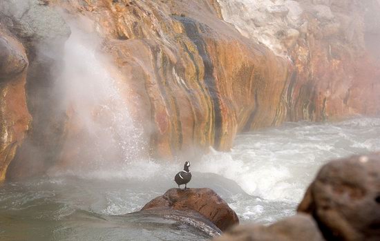 The Valley of Geysers colors, Kamchatka, Russia photo 5