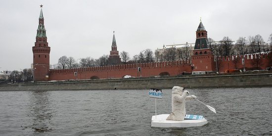 Polar bear floated past the Kremlin walls, Moscow, Russia photo 1