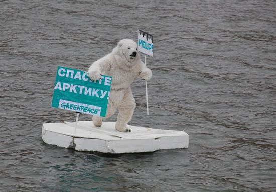 Polar bear floated past the Kremlin walls, Moscow, Russia photo 3