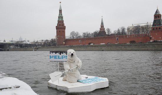 Polar bear floated past the Kremlin walls, Moscow, Russia photo 5