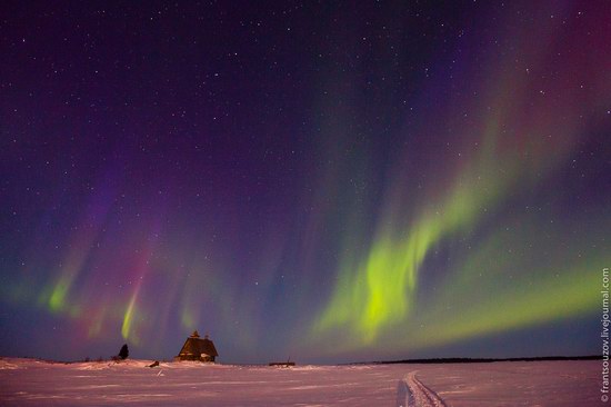 Northern Lights (Aurora Borealis) in the sky over Karelia, Russia photo 10