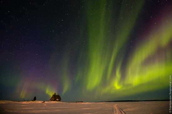 Northern Lights (Aurora Borealis) in the sky over Karelia, Russia photo 11