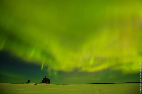 Northern Lights (Aurora Borealis) in the sky over Karelia, Russia photo 19