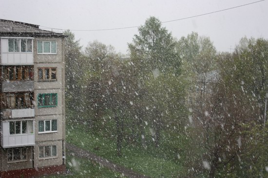 Summer snowfall in Kemerovo, Russia photo 3