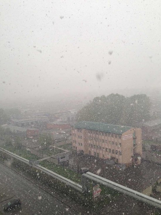 Summer snowfall in Kemerovo, Russia photo 5