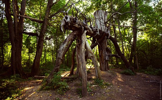 Art Park Nikola-Lenivets, Kaluga region, Russia photo 5