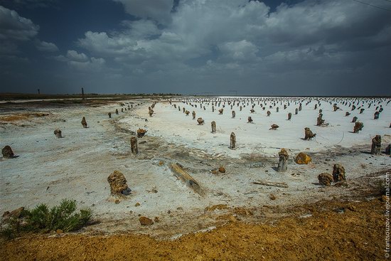 Salt Lake Baskunchak, Astrakhan Region, Russia photo 1