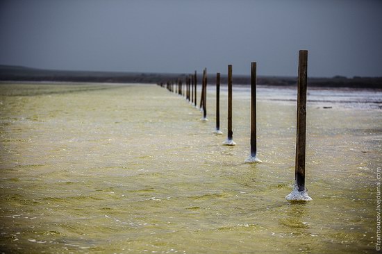 Salt Lake Baskunchak, Astrakhan Region, Russia photo 15