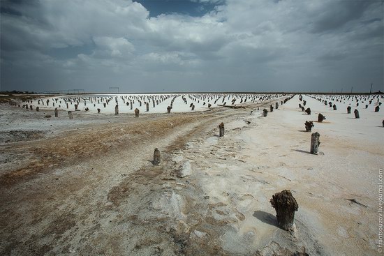 Salt Lake Baskunchak, Astrakhan Region, Russia photo 2