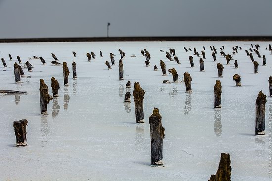 Salt Lake Baskunchak, Astrakhan Region, Russia photo 4