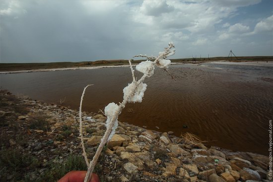 Salt Lake Baskunchak, Astrakhan Region, Russia photo 7