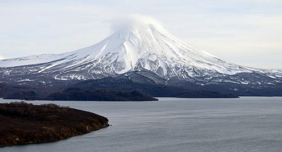 Bears in the South Kamchatka Wildlife Sanctuary, Russia, photo 14