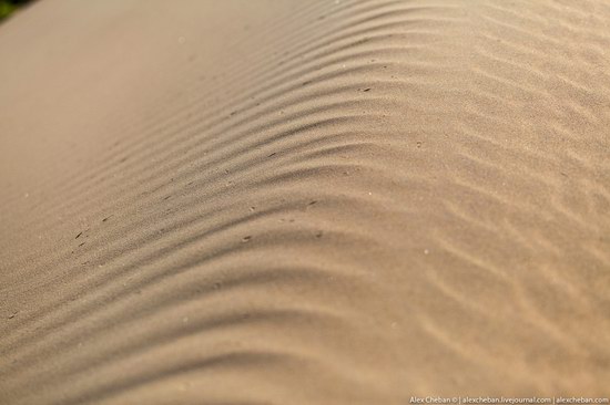 Sand Dunes in Siberia, Russia, photo 18