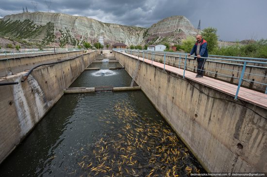 Chirkeisk Hydro Power Plant, Dagestan, Russia, photo 18