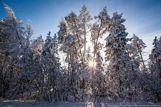 Living in frosty Yakutia, Russia, photo 11