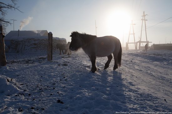 Living in frosty Yakutia, Russia, photo 12