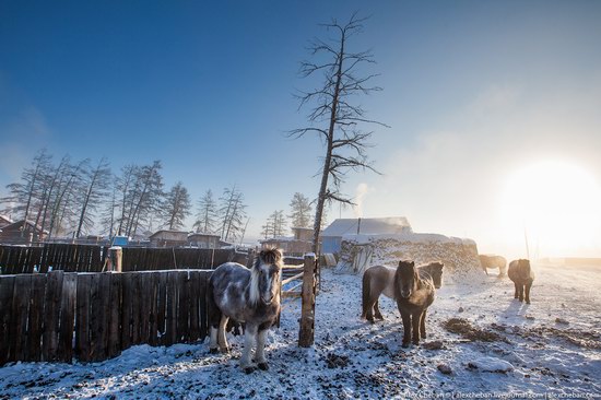 Living in frosty Yakutia, Russia, photo 13