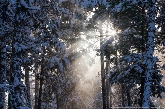 Living in frosty Yakutia, Russia, photo 15