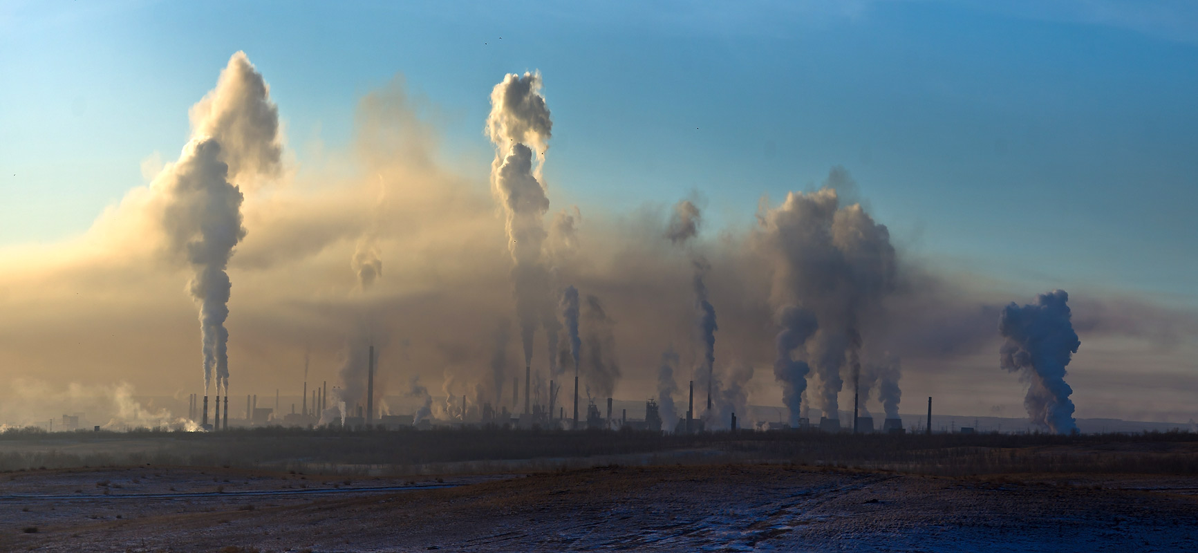Феномен сокращения арктических лесов связали с самым загрязнённым городом России