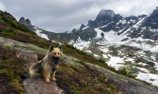 Natural Park Ergaki, Siberia, Russia, photo 5