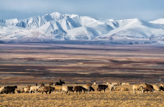 The Altai Mountains beauty, Russia, photo 2