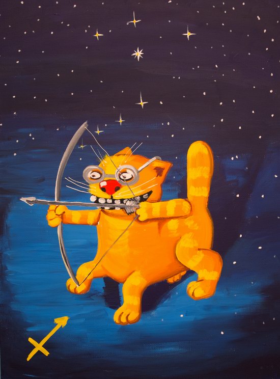 The cat zodiac signs - The (Centaur) Archer