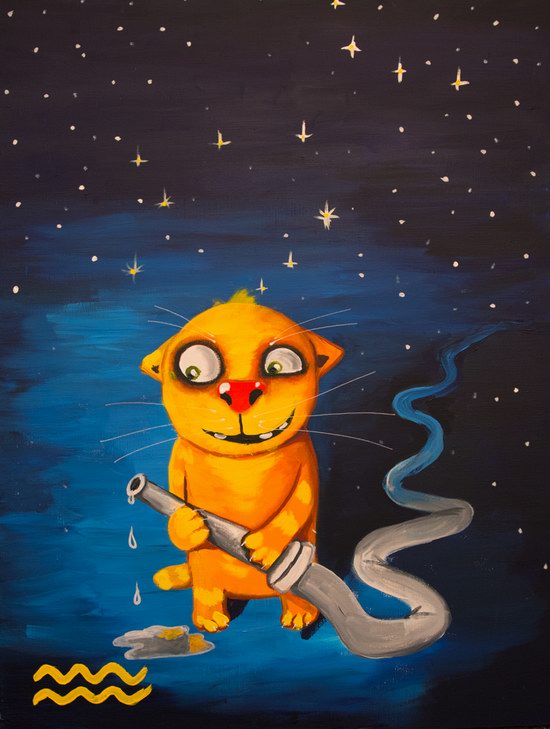 The cat zodiac signs - The Water-Bearer