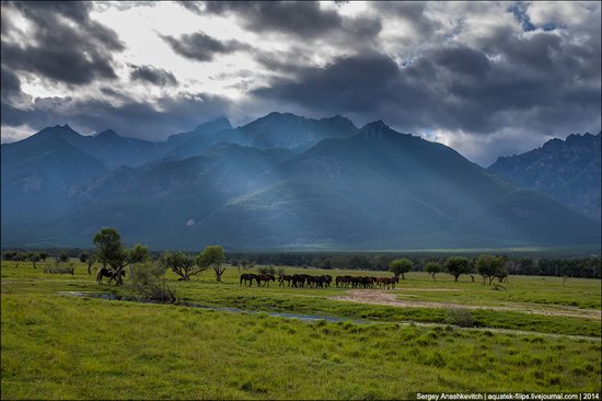 Zabaykalye prairie, Buryatia Republic, Russia, photo 1