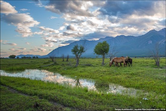 Zabaykalye prairie, Buryatia Republic, Russia, photo 2