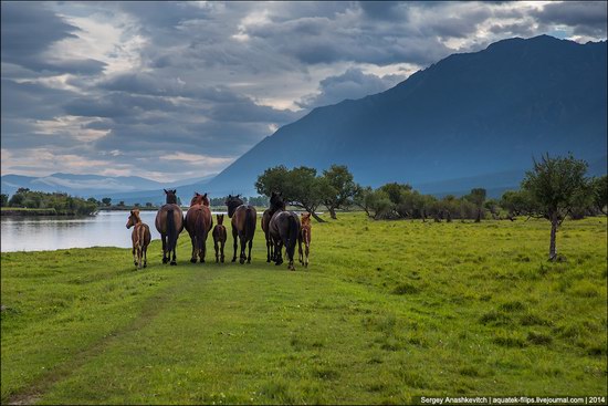 Zabaykalye prairie, Buryatia Republic, Russia, photo 3