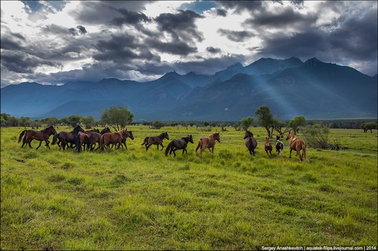 Zabaykalye prairie, Buryatia Republic, Russia, photo 4