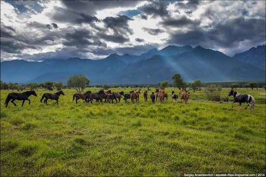 Zabaykalye prairie, Buryatia Republic, Russia, photo 5